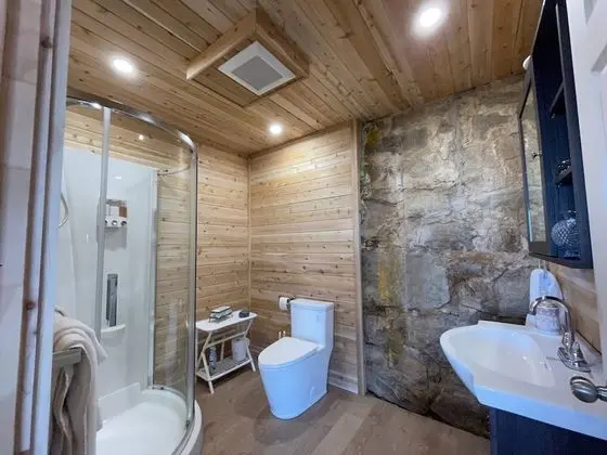 Çatı Katı (Loft), 1 Yatak Odası, Teras