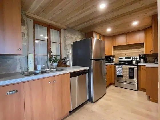 Çatı Katı (Loft), 1 Yatak Odası, Teras