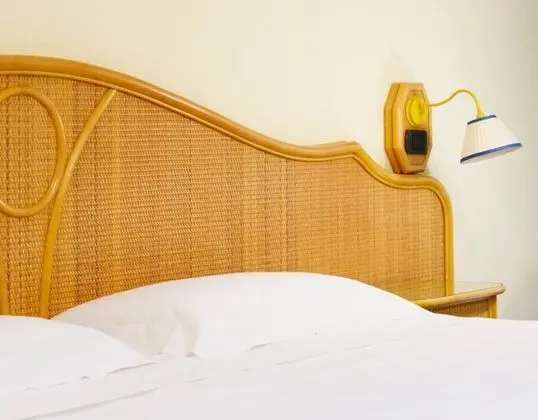 Superior Tek Büyük veya İki Ayrı Yataklı Oda, Bahçe Manzaralı