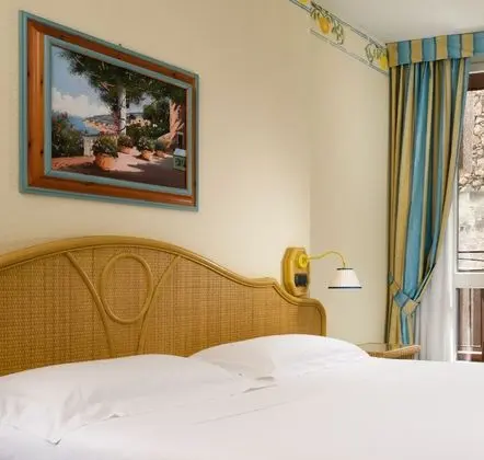 Superior Tek Büyük veya İki Ayrı Yataklı Oda, Bahçe Manzaralı