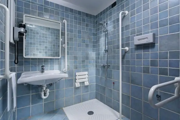 Superior Tek Büyük veya İki Ayrı Yataklı Oda, Bahçe Manzaralı