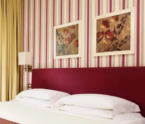 Executive Tek Büyük Yataklı Oda