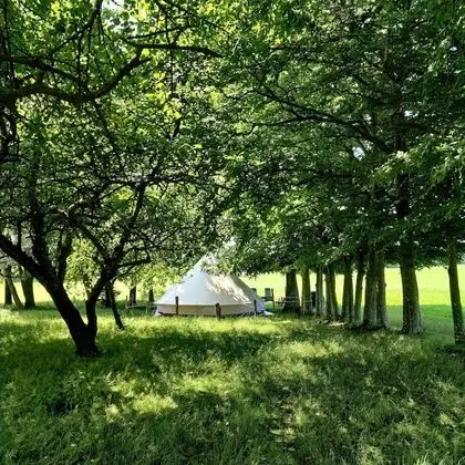 Luxury Çadır, Küçük Mutfak, Bahçe Manzaralı