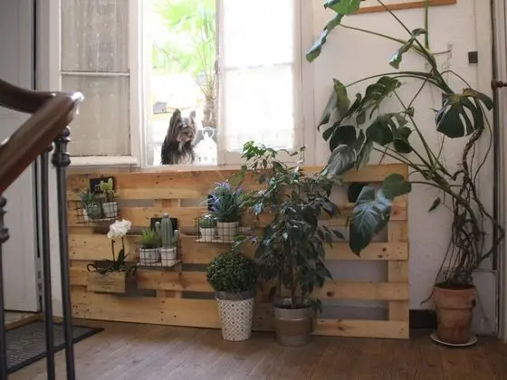 Standard Tek Büyük Yataklı Oda, Teras (1er étage )