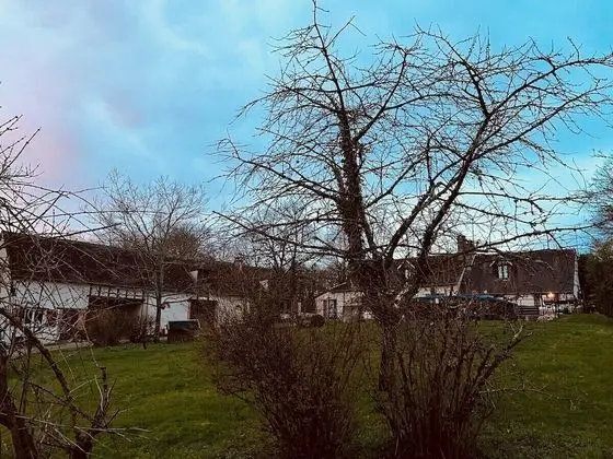 Comfort Kır Evi, Bahçe Manzaralı