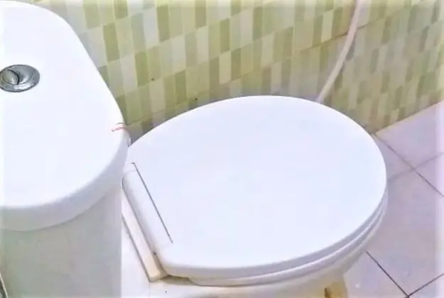 Süit