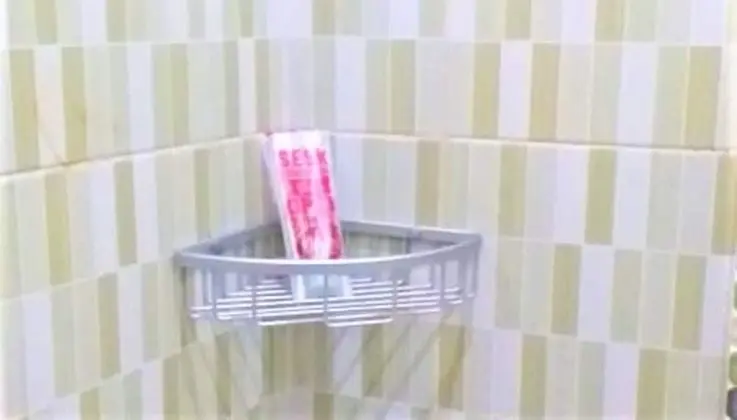 Süit