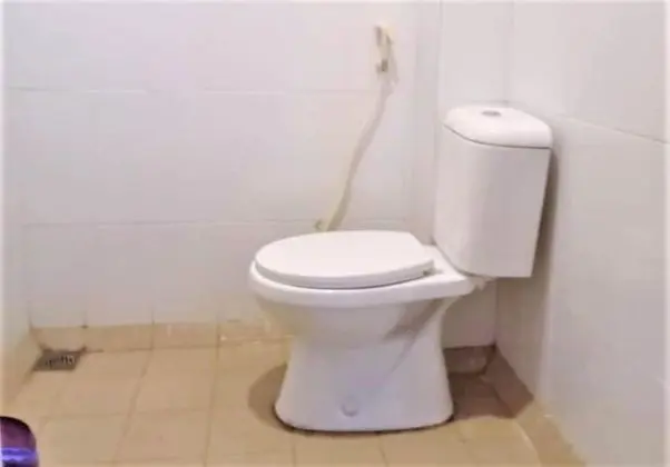 Süit