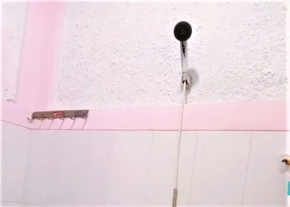 Süit