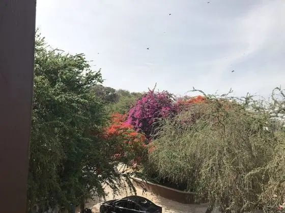 Tek Büyük Yataklı Oda, Bahçe Manzaralı