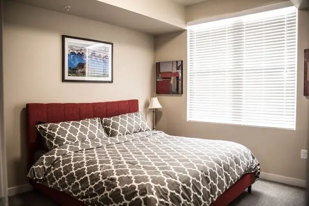 Executive Apart Daire, 1 En Büyük (King) Boy Yatak, Şehir Manzaralı