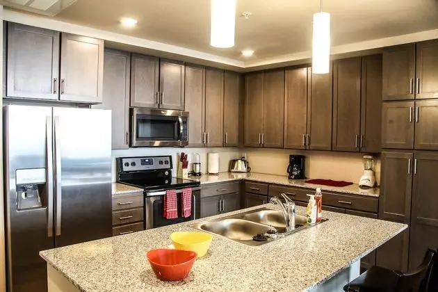 City Çatı Katı Süiti (Penthouse), 2 Yatak Odası, Şehir Manzaralı