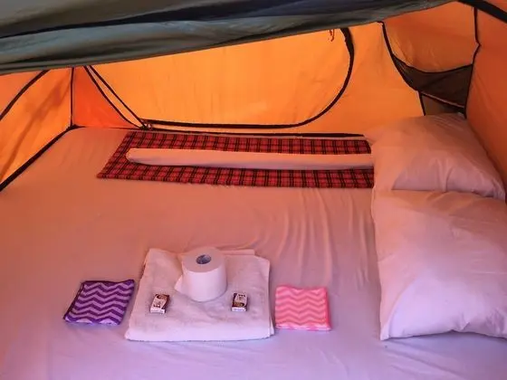 Basic Çadır (1 bed)