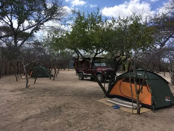 Basic Çadır (1 bed)