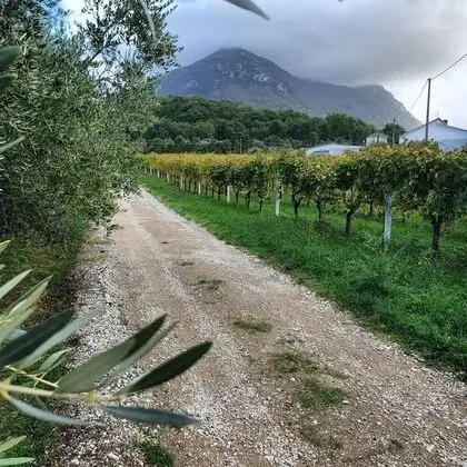 Kır Evi, 1 Çift Kişilik Yatak