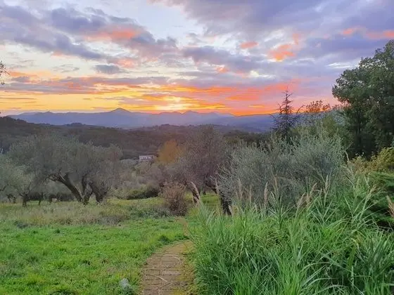 Kır Evi, 1 Çift Kişilik Yatak