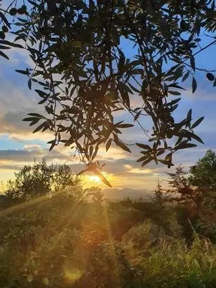 Kır Evi, 1 Çift Kişilik Yatak