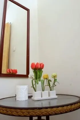 Standard Tek Büyük Yataklı Oda (Air-Conditioned)