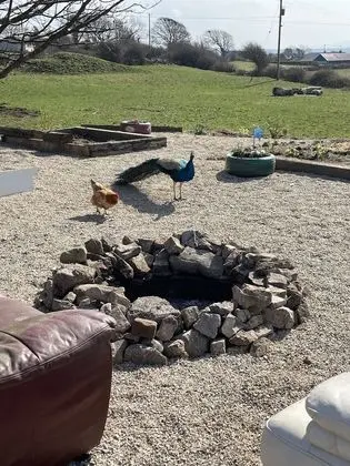 Kulübe, Birden Çok Yatak
