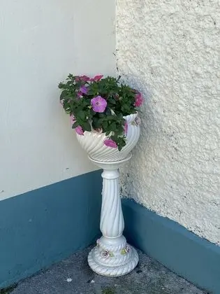 Kulübe, Birden Çok Yatak