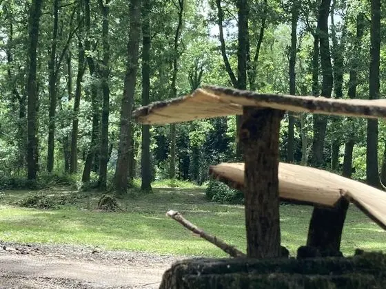 Kulübe