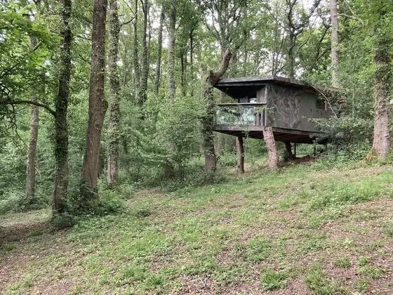 Kulübe