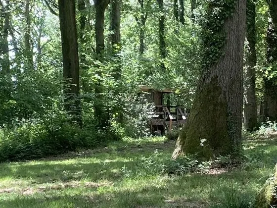 Kulübe