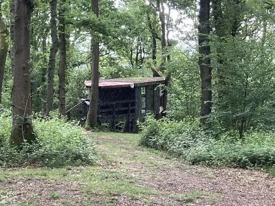 Kulübe