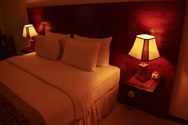Deluxe Tek Büyük Yataklı Oda, 1 Yatak Odası, Sigara İçilebilir, Şehir Manzaralı