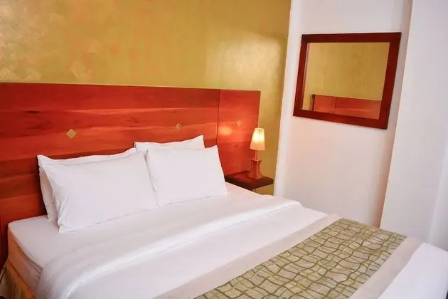 Deluxe Tek Büyük Yataklı Oda, 1 Yatak Odası, Sigara İçilebilir, Şehir Manzaralı