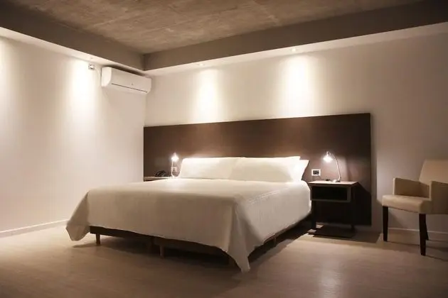 Superior Tek Büyük Yataklı Oda, 1 En Büyük (King) Boy Yatak