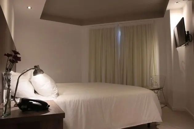 Superior Tek Büyük Yataklı Oda, 1 En Büyük (King) Boy Yatak