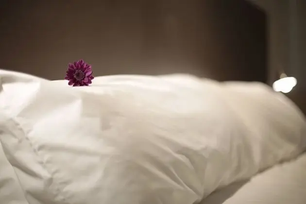 Superior Tek Büyük Yataklı Oda, 1 En Büyük (King) Boy Yatak