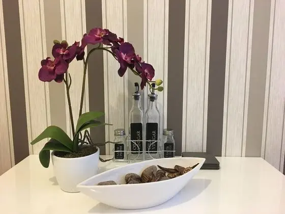 Economy Apart Daire, 1 Yatak Odası, Özel Banyo (Holiday TOP 5 incl. Extra Fees)