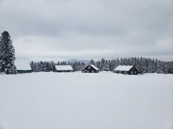 Standard Kulübe, Birden Çok Yatak, Vadi Manzaralı