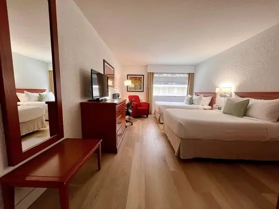 Comfort Oda, 2 Çift Kişilik Yatak