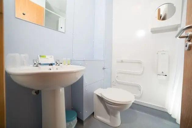 Tek Büyük Yataklı Oda, 1 Çift Kişilik Yatak, Özel Banyo