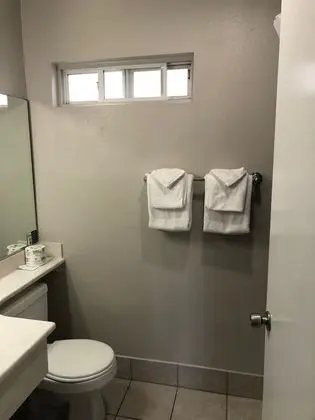 Standard Tek Kişilik Oda, 2 Büyük (Queen) Boy Yatak, Sigara İçilmez, Buzdolabı ve Mikrodalga