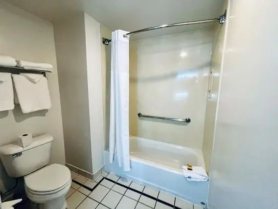 Superior Süit, 1 En Büyük (King) Boy Yatak ve Çekyat, Engellilere Uygun (Accessible King Suite)