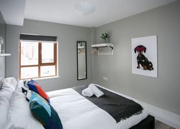 Premium Apart Daire, Şehir Manzaralı
