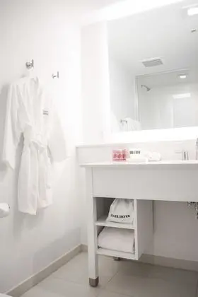 Oda, 1 En Büyük (King) Boy Yatak, Engellilere Uygun, Şehir Manzaralı (WITH ROLL-IN SHOWER)