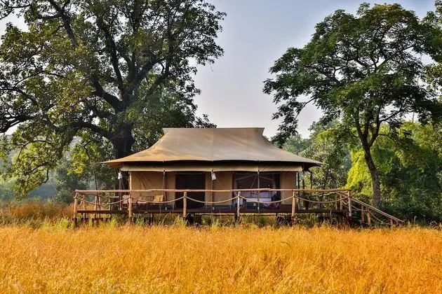 Executive Çadır, Veranda (Suite)