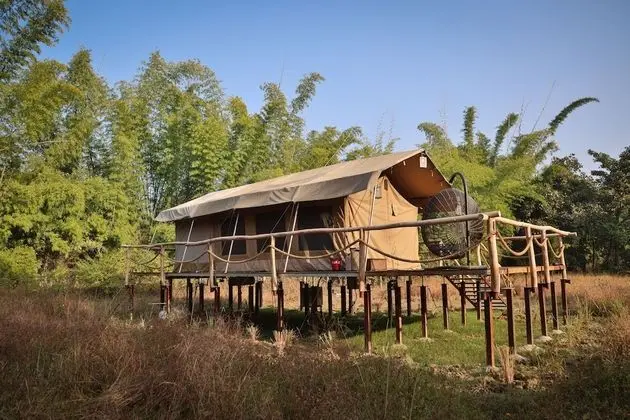 Executive Çadır, Veranda (Suite)