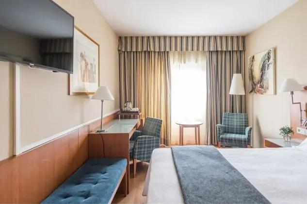 Büyük Yataklı Tek Kişilik Oda (1 cama doble o 2 camas individuales)