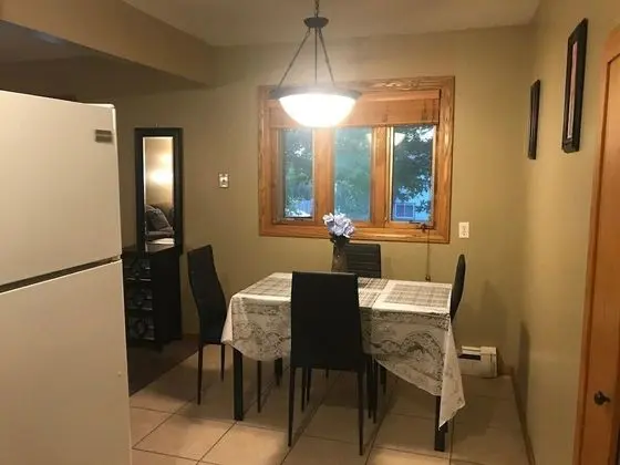 Apart Daire (Updated and cozy 2-Bedroom in Rochest)