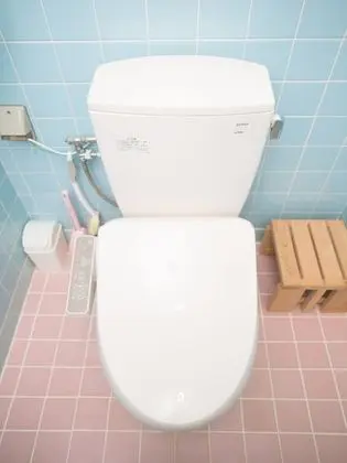 Basic Kır Evi