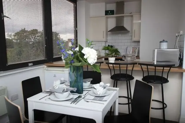City Apart Daire, 2 Yatak Odası, Sigara İçilmez, Şehir Manzaralı