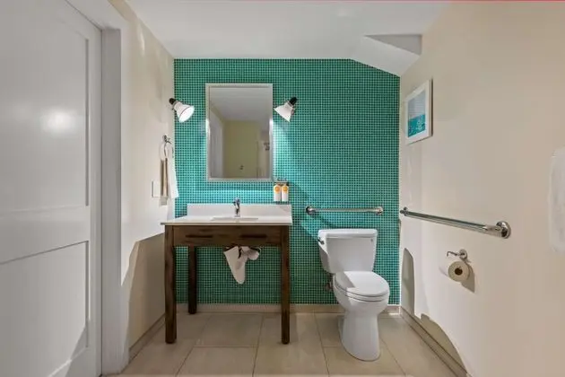 Oda, 1 En Büyük (King) Boy Yatak, Engellilere Uygun, Sigara İçilmez (Roll-In Shower)