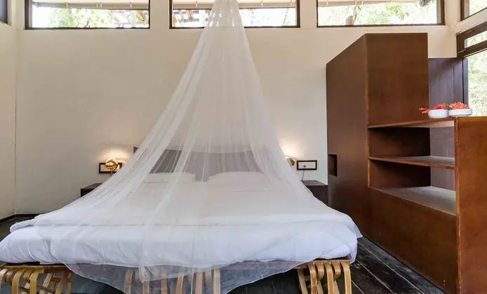 Deluxe Oda, Sigara İçilebilir, Bahçe Manzaralı