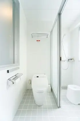 Tek Büyük Yataklı Oda, Sigara İçilebilir (with shower booth)